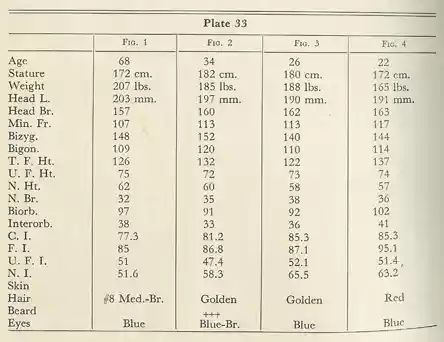 Plate 33